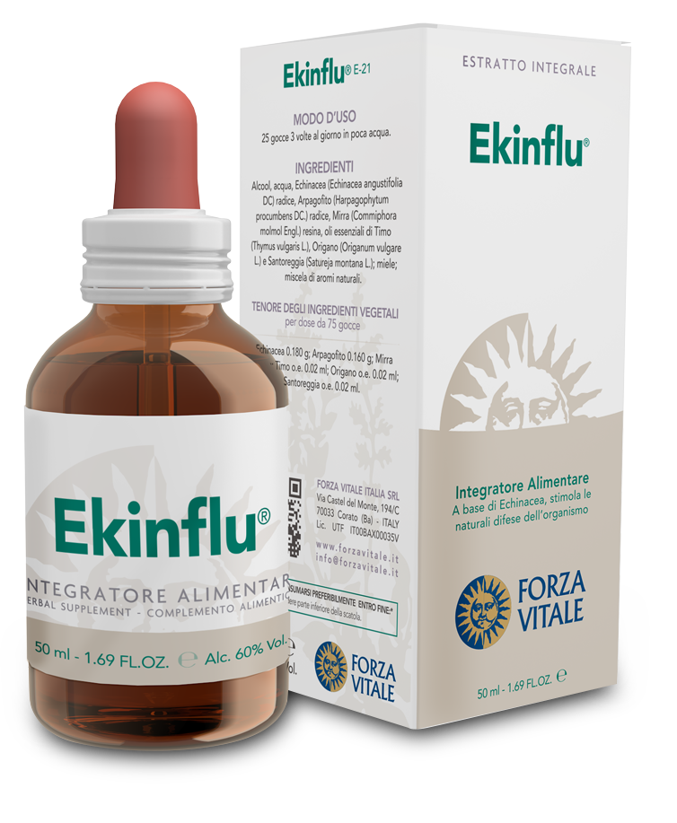 EKINFLU-3d-2014-1