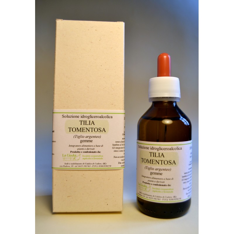 – TILIA TOMENTOSA (TIGLIO ARGENTEO) – GEMME-